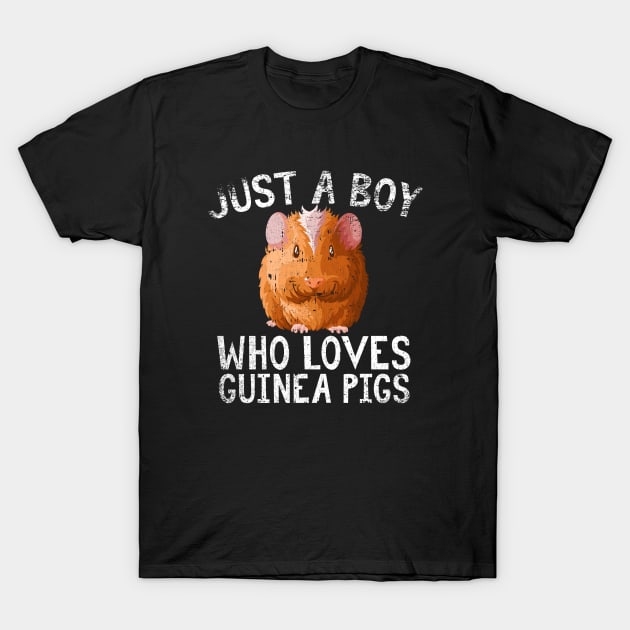 Just A Boy Who Loves Guinea pigs T-Shirt by simonStufios